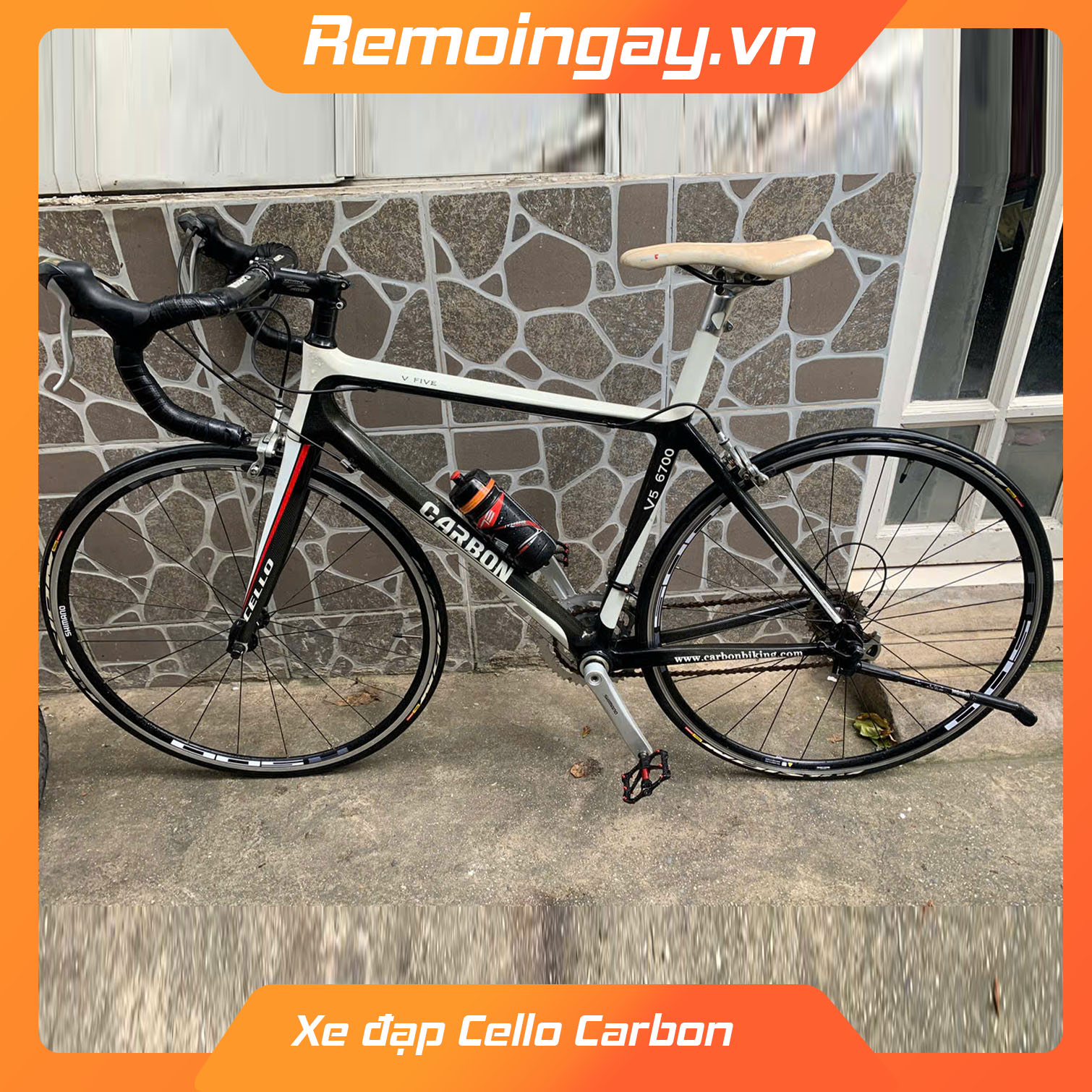 Xe đạp Cello Full Carbon